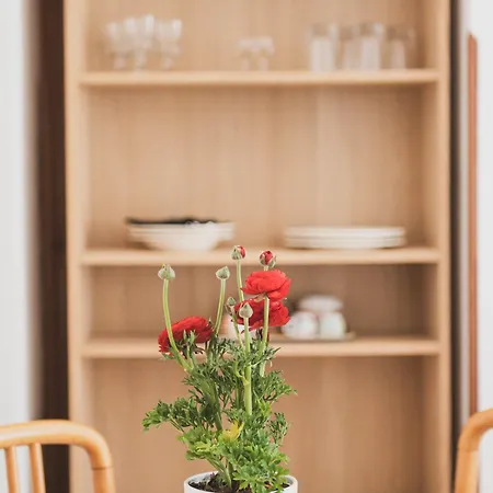 Apartmán Pucare